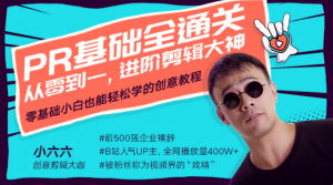 【唯库】《Pr基础全通关:从0到1,进阶剪辑大神》-无忧知识库