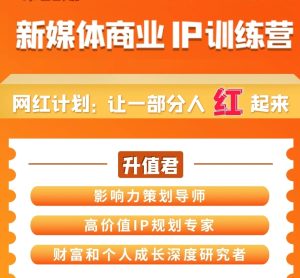 【升值计】《新媒体商业IP训练营》-无忧知识库