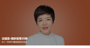 【得到】沈祖芸·组织变革20讲-无忧知识库