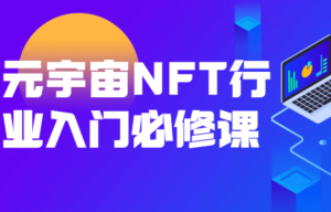 元宇宙NFT行业入门必修课【完结】-无忧知识库
